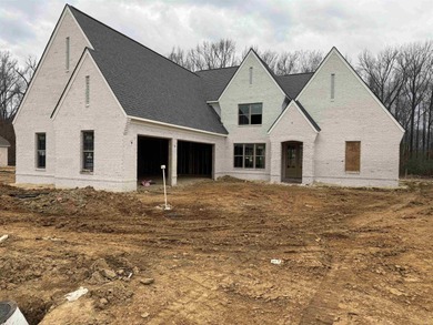 Garner Lake Home For Sale in Lakeland Tennessee