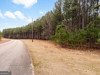 OWNER FINANCING AVAILABLE!! Discover the opportunity to own 5.21 - photo 6