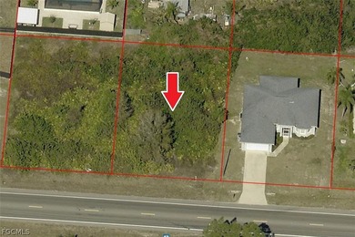 Lehigh Acres Area Lot For Sale in Lehigh Acres Florida