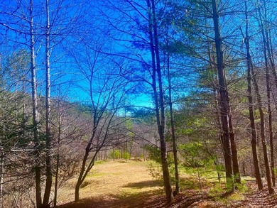 Lake Acreage For Sale in Independence, Virginia