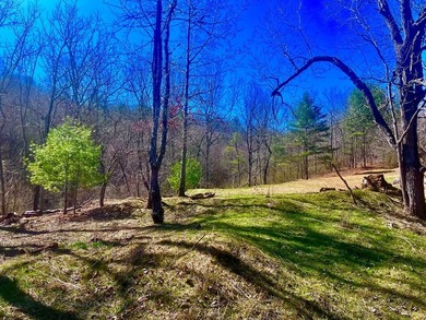 When driving alongside the New River, you will go through a gate - photo 4