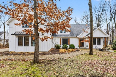 Lake Michigan - Berrien County Home For Sale in New Buffalo Michigan