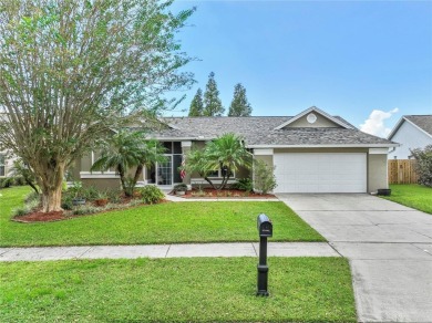 (private lake, pond, creek) Home Sale Pending in Brandon Florida