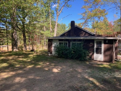 Townline Lake Home For Sale in Rhinelander Wisconsin