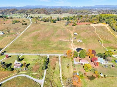 (private lake, pond, coastal) Acreage For Sale in Meadowview Virginia