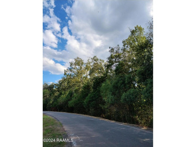 (private lake, pond, coastal) Lot For Sale in Arnaudville Louisiana