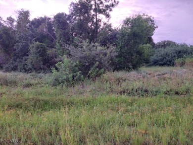 Lehigh Acres Area Lot For Sale in Lehigh Acres Florida