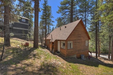 Two-bedroom, one-bath cabin located in a quiet area of Fawnskin - photo 31