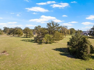 Build your dream home on this spacious 1-acre lot located in one - photo 8