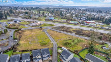 2.4 Acres of Highway Commercial Property - Prime Development - photo 6