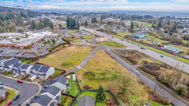 2.4 Acres of Highway Commercial Property - Prime Development - photo 7
