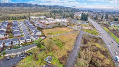 2.4 Acres of Highway Commercial Property - Prime Development - photo 8