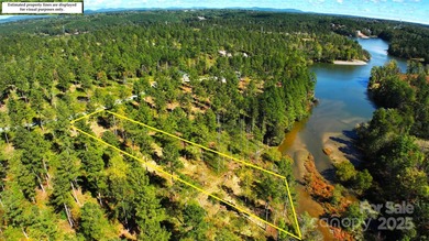 Welcome to Lakeside Reserve, where this 1.61 acre waterfront lot - photo 5