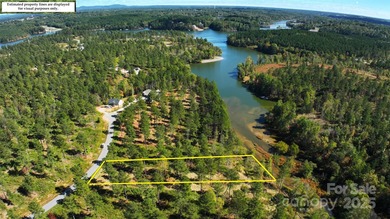 Welcome to Lakeside Reserve, where this 1.61 acre waterfront lot - photo 7