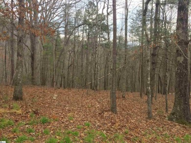 North Saluda Reservoir Lot Active Under Contract in Travelers Rest South Carolina