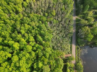 Lake Acreage For Sale in Presque Isle, Wisconsin