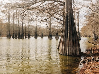 (private lake, pond, coastal) Acreage For Sale in Glendora Mississippi