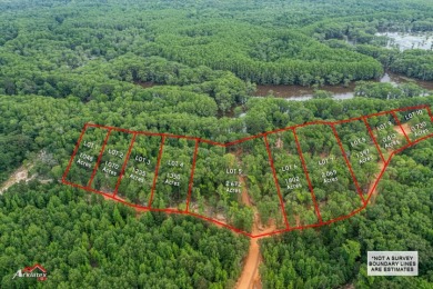Caddo Lake's Newest Subdivision - Cypress Shores - Lot # 9 - Lake Lot For Sale in Karnack, Texas