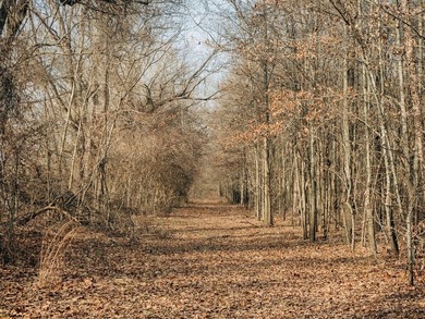 Discover this exceptional 484-acre property in the heart of the - photo 9