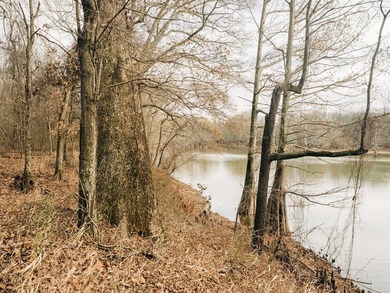 Discover this exceptional 484-acre property in the heart of the - photo 10