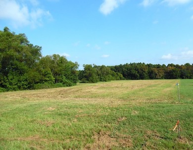 (private lake, pond, creek) Acreage Sale Pending in Athens Texas