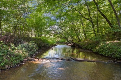 Lake Home For Sale in Blue Ridge, Georgia