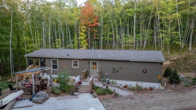 Lake Home For Sale in Lake Tomahawk, Wisconsin