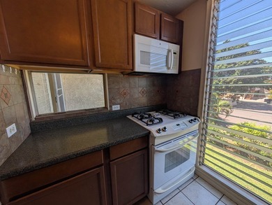 Best front row location in the complex with a partial ocean view - photo 10