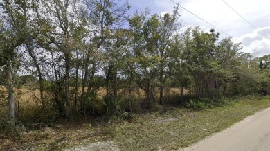 East Lake Tohopekaliga Acreage For Sale in Saint Cloud Florida