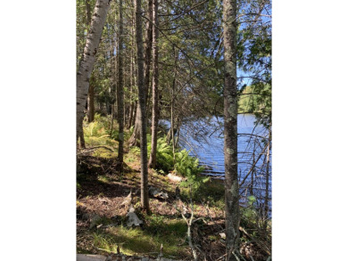 Lake Lot For Sale in Eagle River, Wisconsin