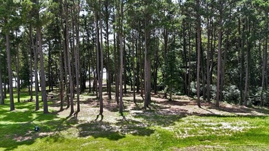 Experience lakeside living in the exclusive, gated community of - photo 4