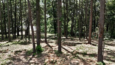 Experience lakeside living in the exclusive, gated community of - photo 5