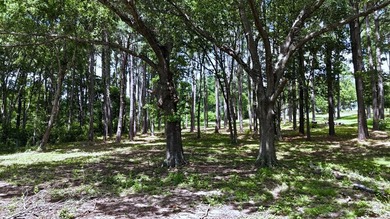 Experience lakeside living in the exclusive, gated community of - photo 6