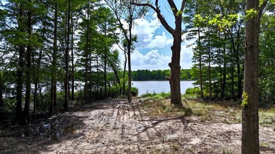 Experience lakeside living in the exclusive, gated community of - photo 8