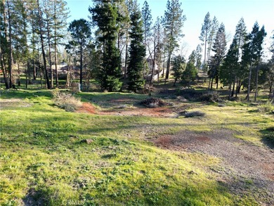 Magalia Lake  Lot For Sale in Magalia California