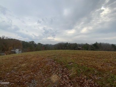 (private lake, pond, creek) Lot For Sale in Sevierville Tennessee