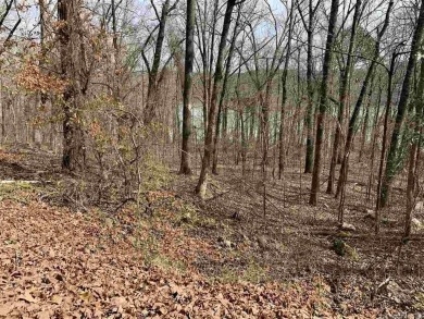 Lake Lot For Sale in Edgemont, Arkansas