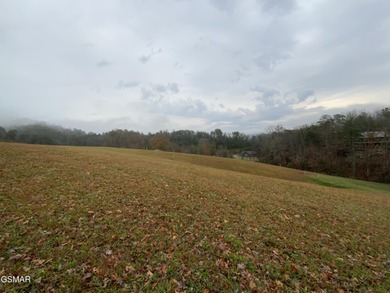 (private lake, pond, creek) Lot For Sale in Sevierville Tennessee