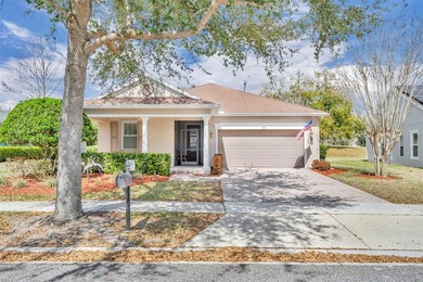 Schoolhouse Lake Area Home For Sale in Groveland Florida