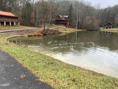READY TO BUILD HOMESITE with Mountain VIEWS!!! Owner Financing - photo 6