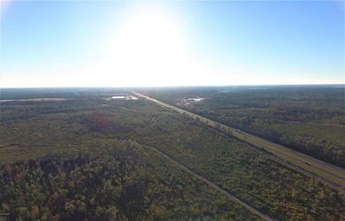 Approximately 80 acres with +/- 3,700 feet fronting U.S. Highway - photo 4