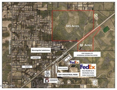 Approximately 80 acres with +/- 3,700 feet fronting U.S. Highway - photo 5