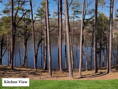 RARE LUXURY LAKEFRONT | A once-in-a-generation opportunity to - photo 7