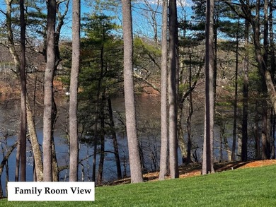 RARE LUXURY LAKEFRONT | A once-in-a-generation opportunity to - photo 8
