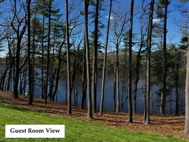 RARE LUXURY LAKEFRONT | A once-in-a-generation opportunity to - photo 9