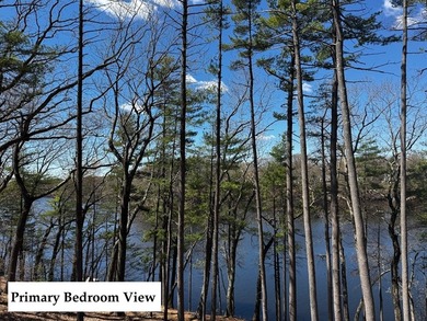RARE LUXURY LAKEFRONT | A once-in-a-generation opportunity to - photo 10