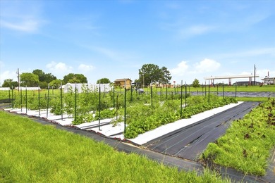 Turnkey farm and homestead with all the hard work already done - photo 5