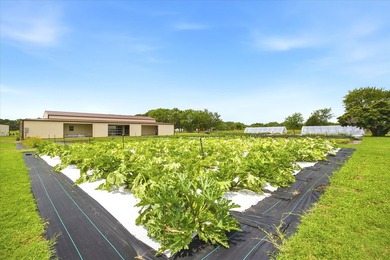 Turnkey farm and homestead with all the hard work already done - photo 6