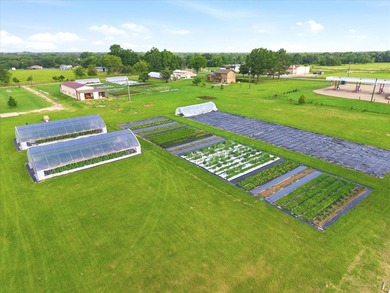 Turnkey farm and homestead with all the hard work already done - photo 8
