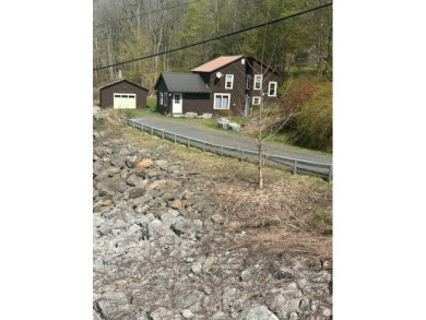 (private lake, pond, creek) Home For Sale in Lexington New York